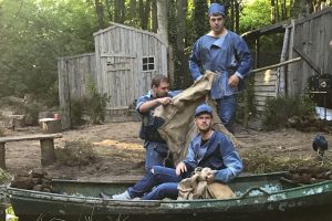 Folk sûnder Oeren 2018